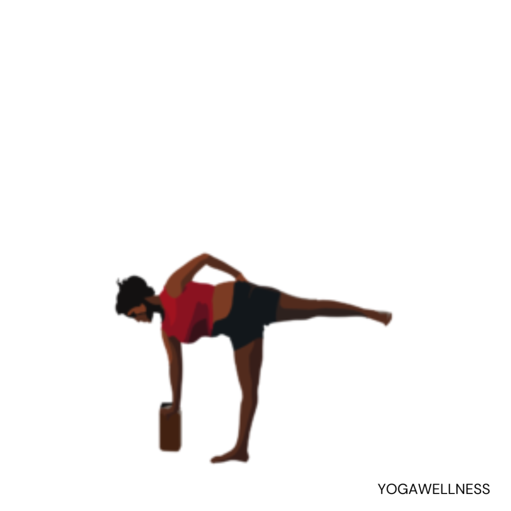 Vector illustration of a lady practicing Half Moon Pose (Ardha Chandrasana) with a block.